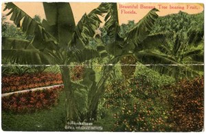 Image description is not available for OBJ-250-391-1021